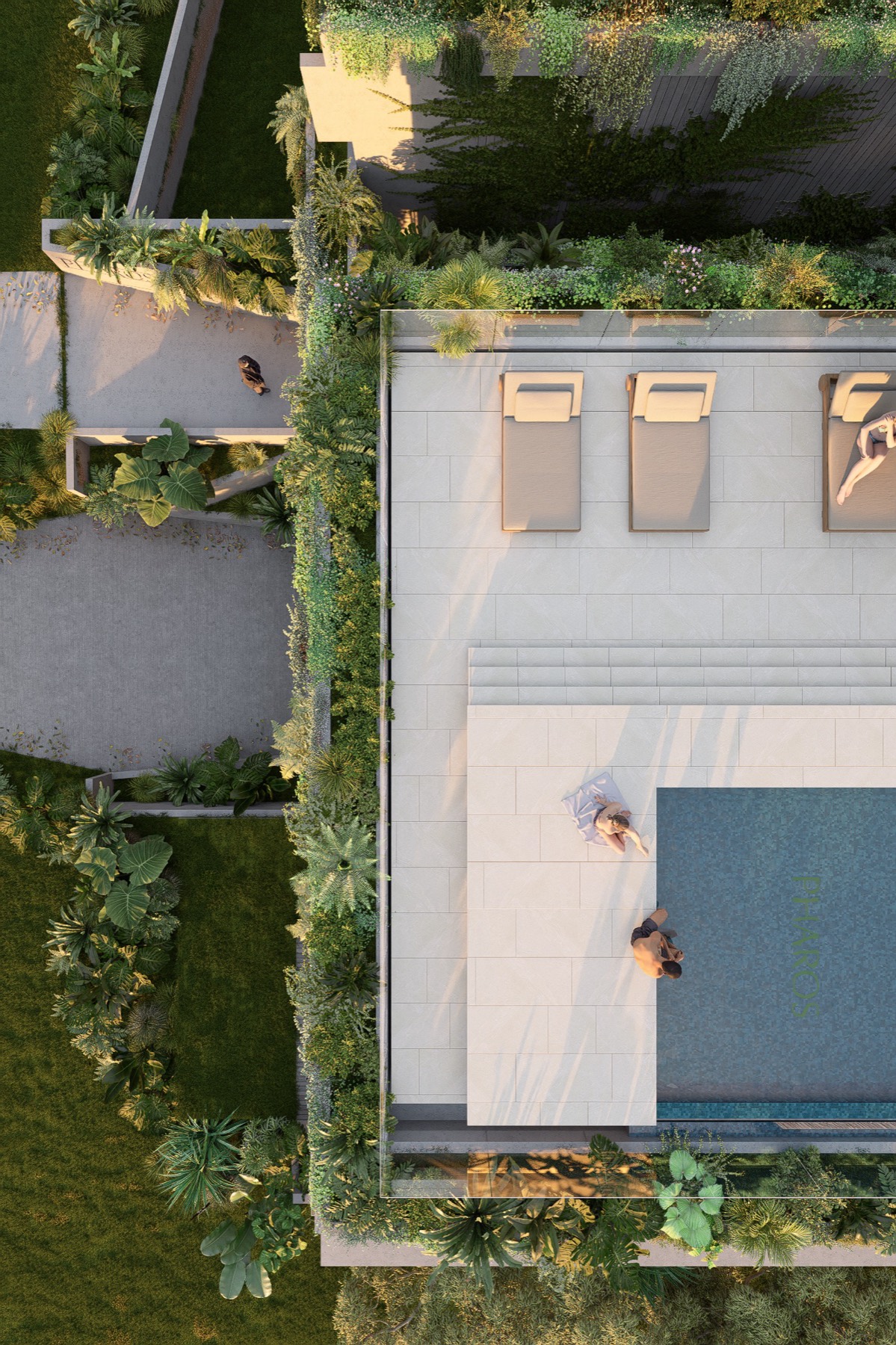 Evening elevation